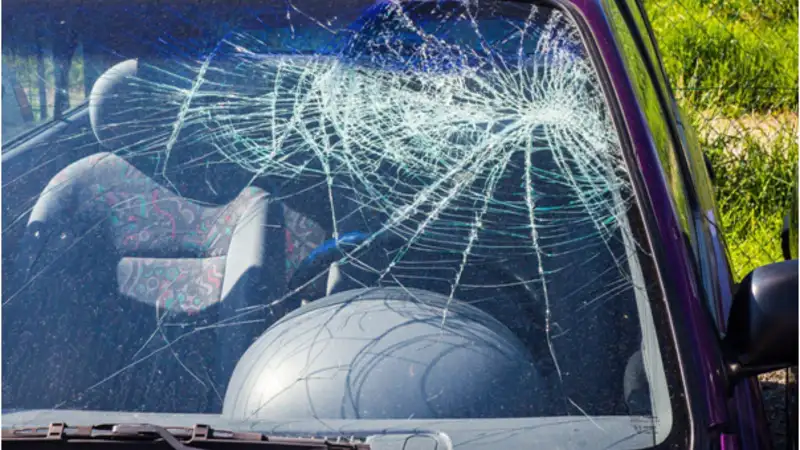 Auto Glass Specialist