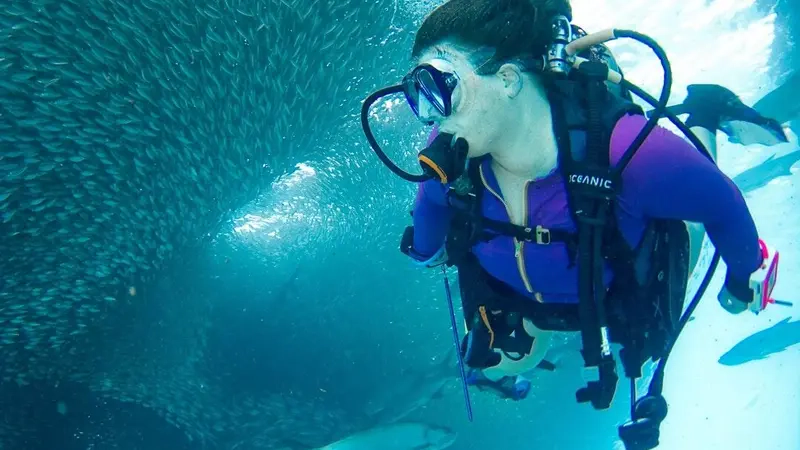 Dive Destinations