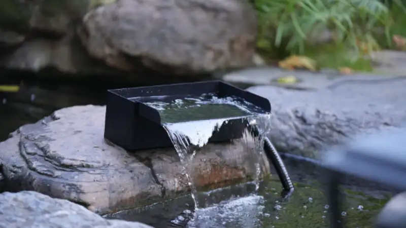 Install a Pond Filter