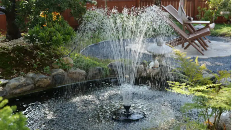 Install a Pond Filter