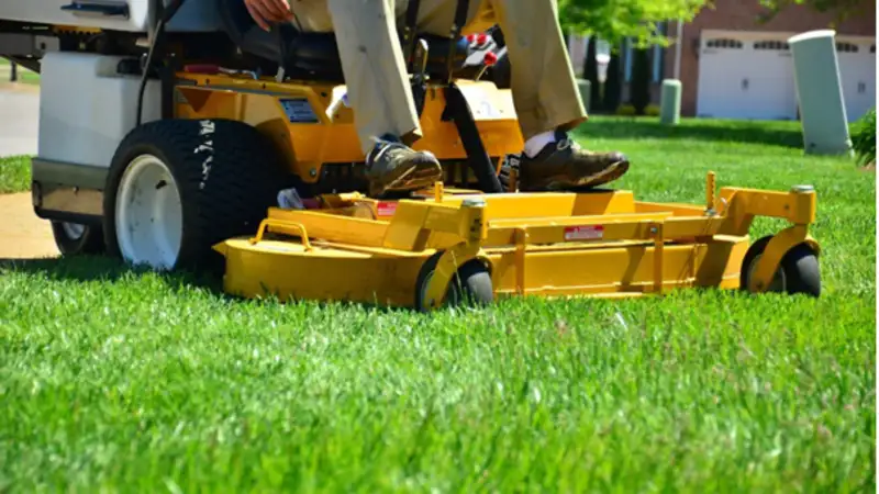 Regular Lawn Maintenance