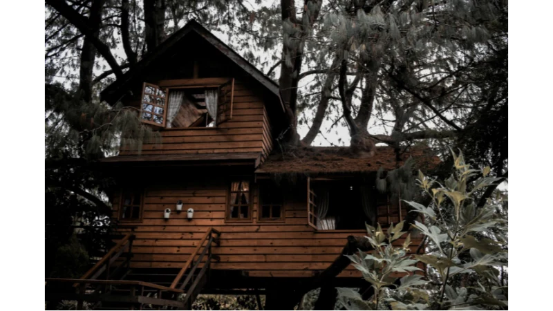 How to Plan a Memorable Getaway in a Treehouse Retreat