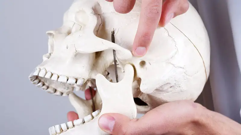 Understanding TMJ Beyond Common Symptoms