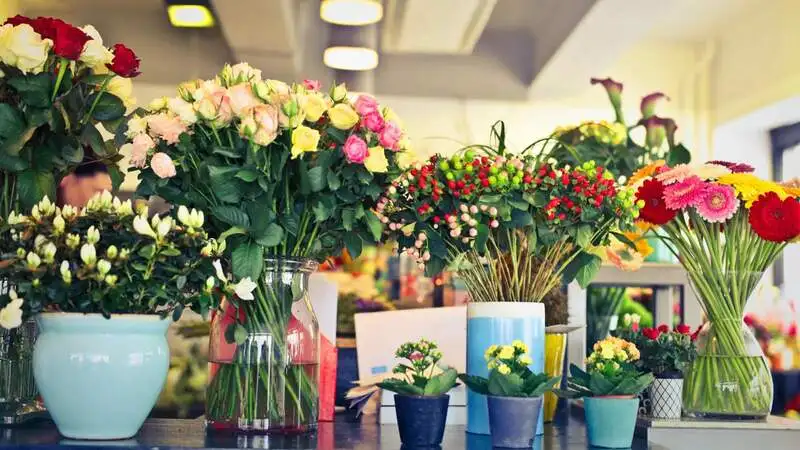 Brighten Any Occasion with a Professional Florist