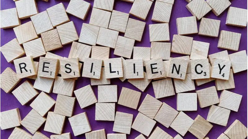 Building Emotional Resilience in the Face of Seasonal Challenges
