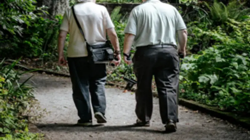 Fun and Engaging Seasonal Ideas for Active Elders