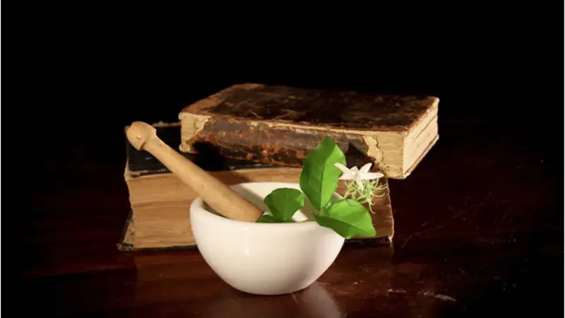 Harness the Power of Nature for Wellness and Relief