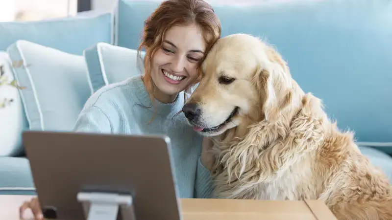 Integrating Pets