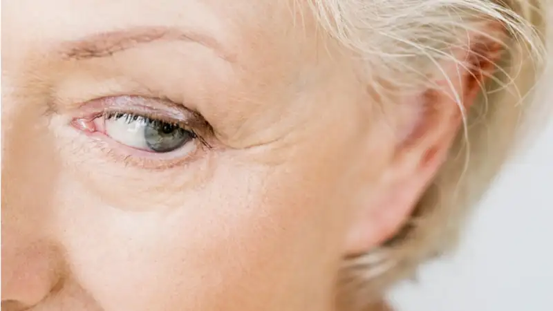 Understanding Elderly Health Beyond Vision Care