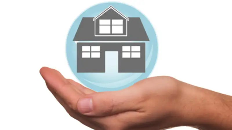 Choosing the Right Insurance A Guide for Financial Growth