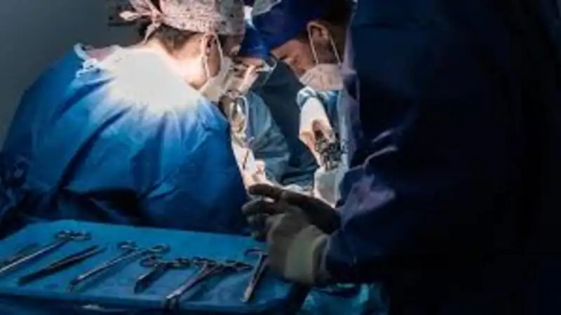 From Consultation to Recovery Navigating Your Plastic Surgery Journey