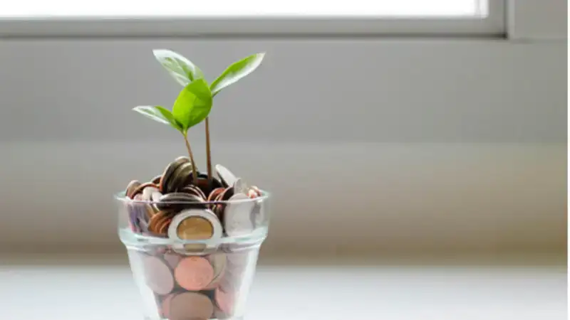 How to Build a Personalized Financial Plan for Long-Term Success