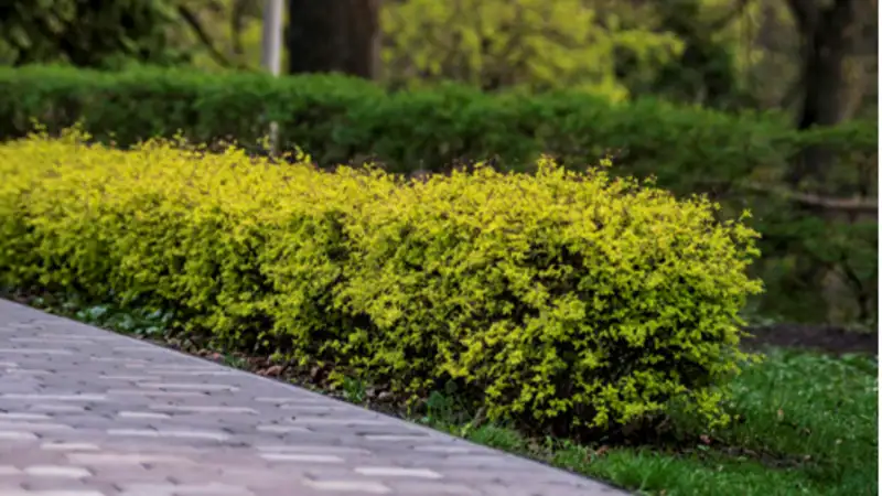 Transform Your Home with a Custom Paver Driveway Key Considerations